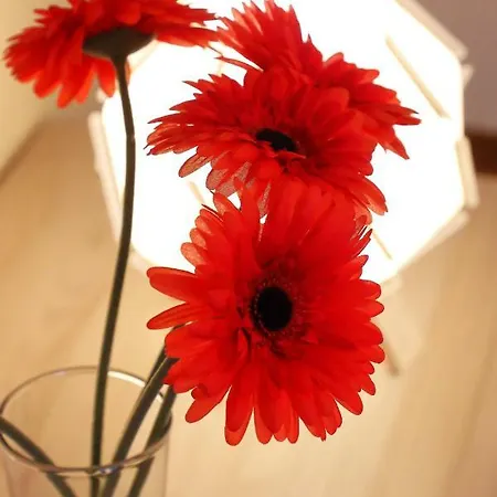 Apartamento Casa Del Sole Prato (Prato)